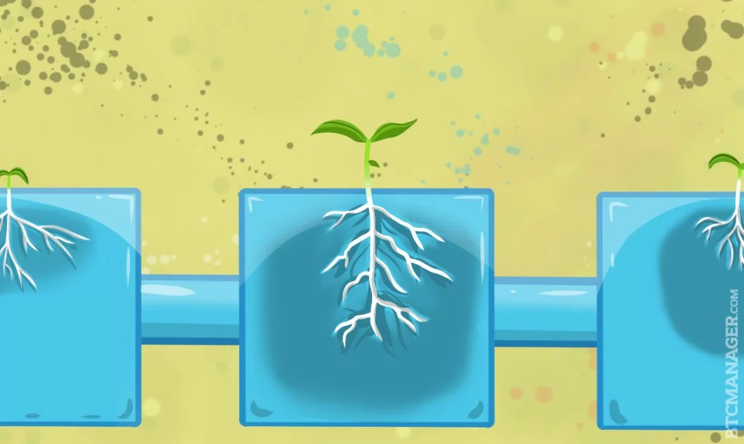 AgriTech, not FinTech, is Leading Blockchain Adoption