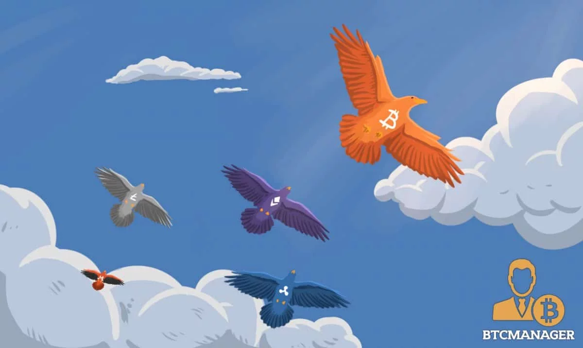 Bitcoin Will Rise Again and So Will Most Alt Coins, Says BitPay CCO