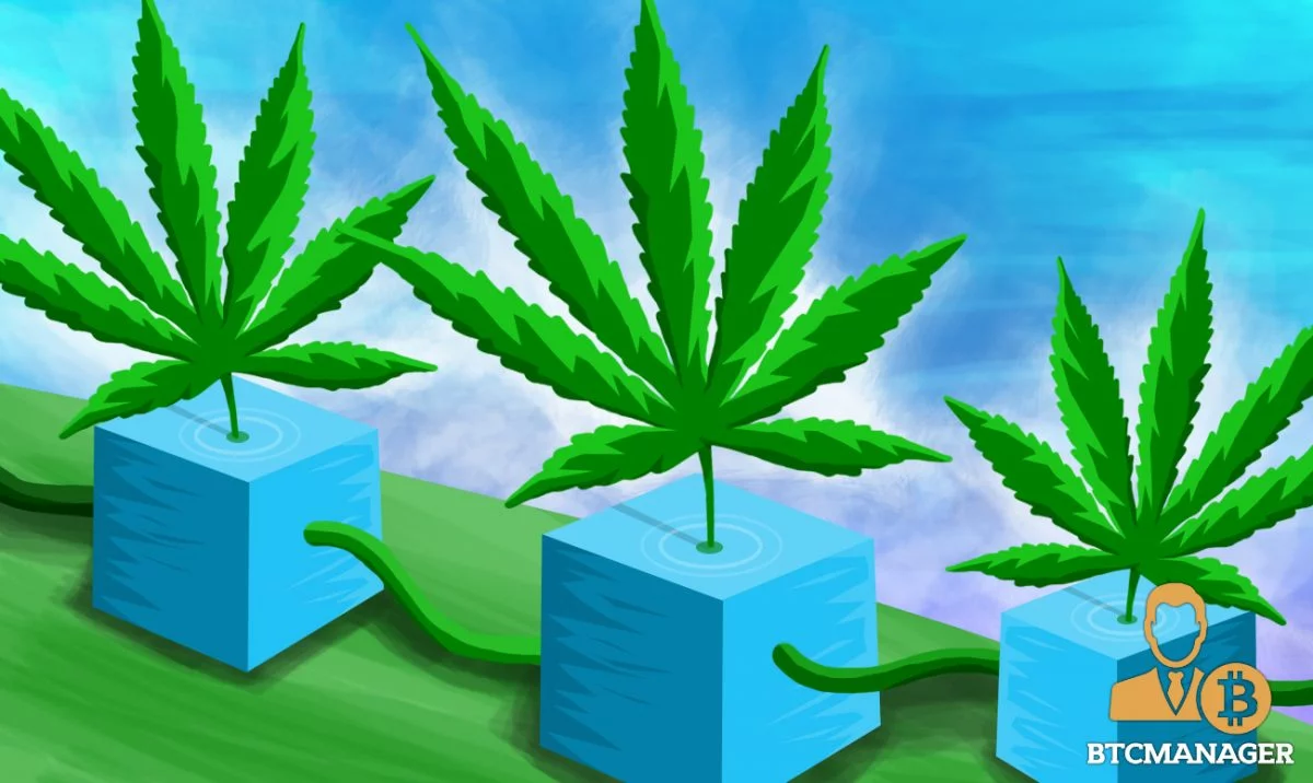 Vermont’s Agricultural Agency to Use Blockchain Technology to Track Hemp Production