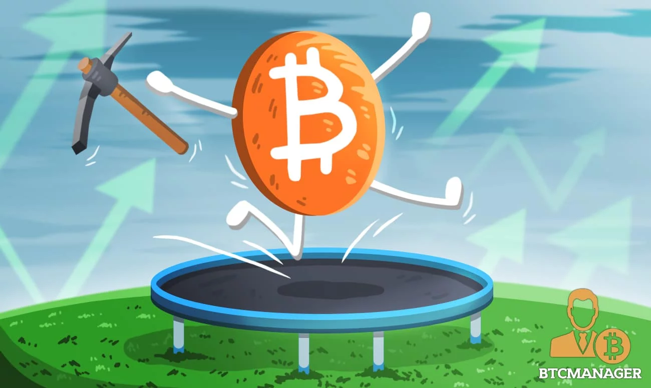 Long-Term Hodlers Buying the Dip Despite Elon Musk’s Bitcoin FUD 