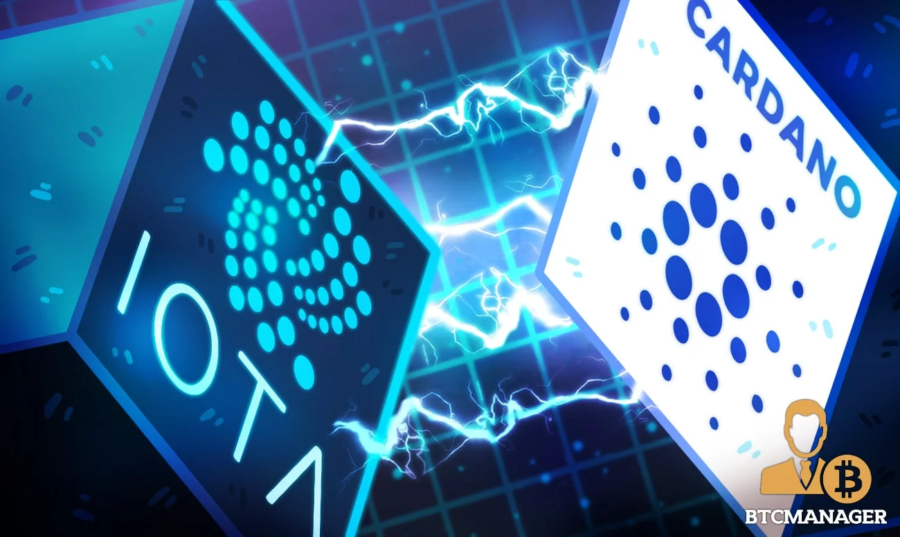 IOTA Co-founder Schiener Considers Partnership and Bridge to Cardano