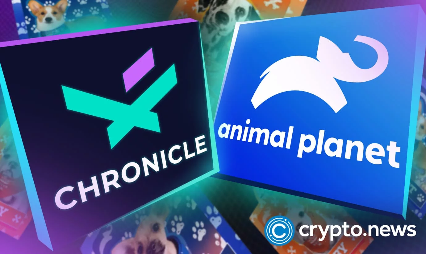 Animal Planet and Chronicle Team Up For Puppy Bowl NFT Drop