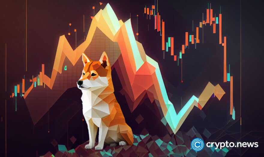 shiba inu