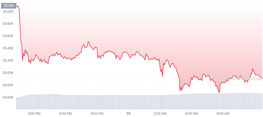 Bitcoin slides below $29k: what to expect next - 2