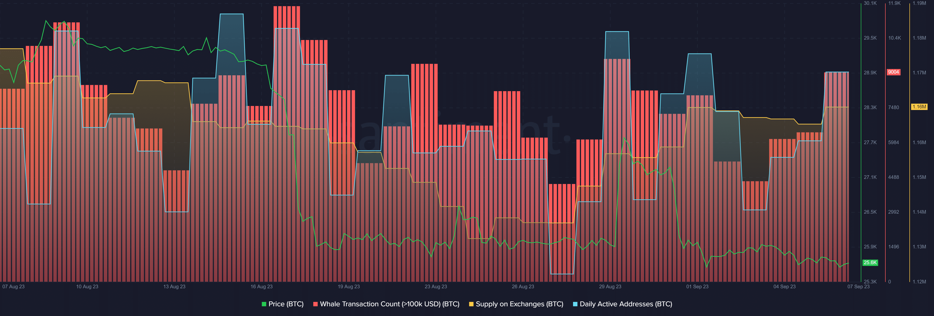 Bitcoin price gains traction as whale activity hikes - 2