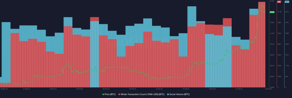 Bitcoin faces selling pressure as whale activity hikes - 2