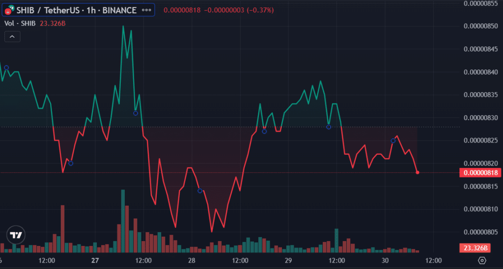 SHIB holds steady above $0.000008, burn rate spikes 913% in 24 hours - 2