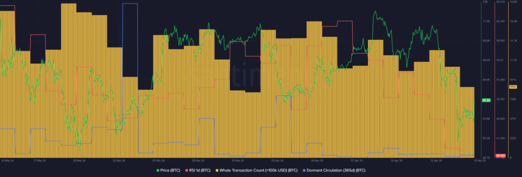 Bitcoin is still undervalued despite surge to $66k - 2