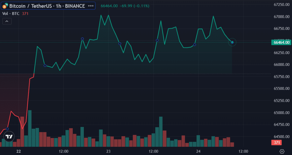Tesla didn’t sell Bitcoin holdings despite plunge in Q1 earnings - 4