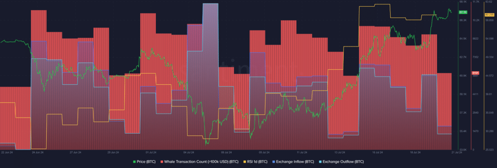 Bitcoin whale activity declines as the price stays near $67k - 2