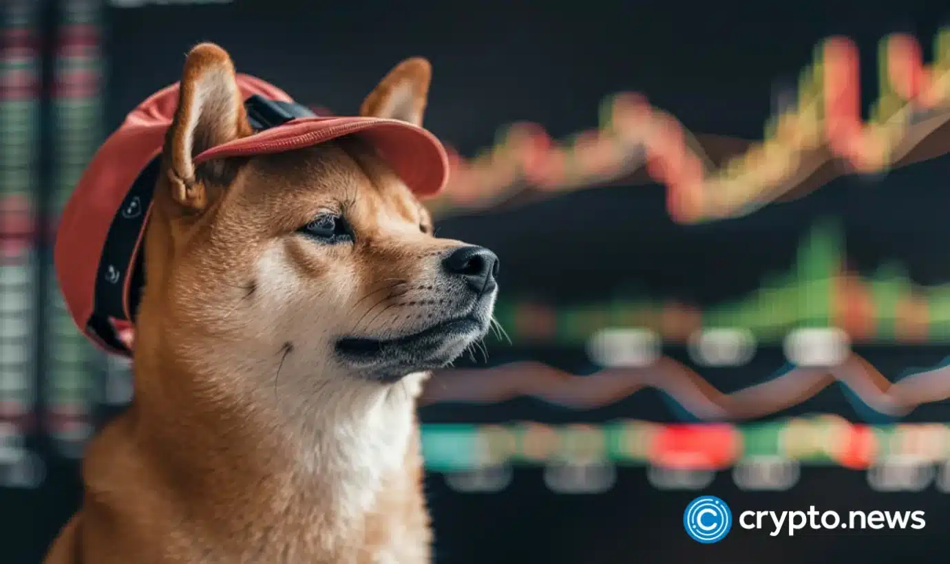 Dogwifhat at risk as WIF price drops below key support