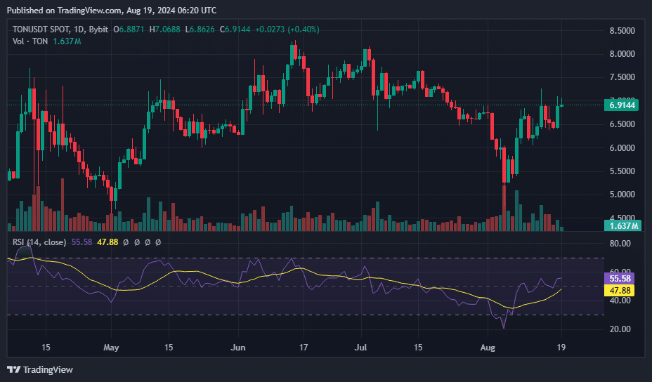TON secures top gainer spot with 7% jump, but market signals caution ahead - 6