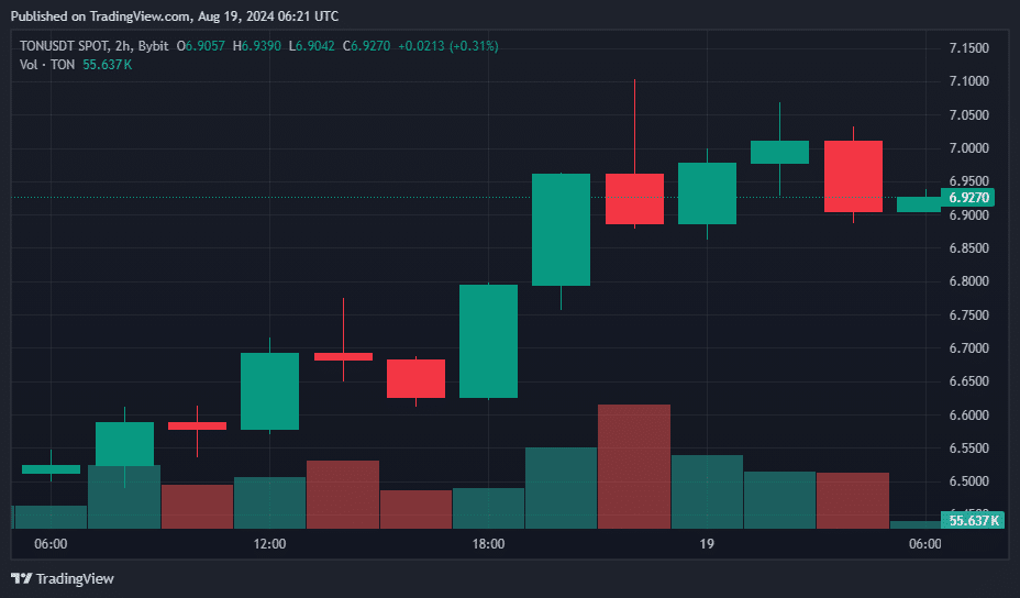 TON secures top gainer spot with 7% jump, but market signals caution ahead - 4