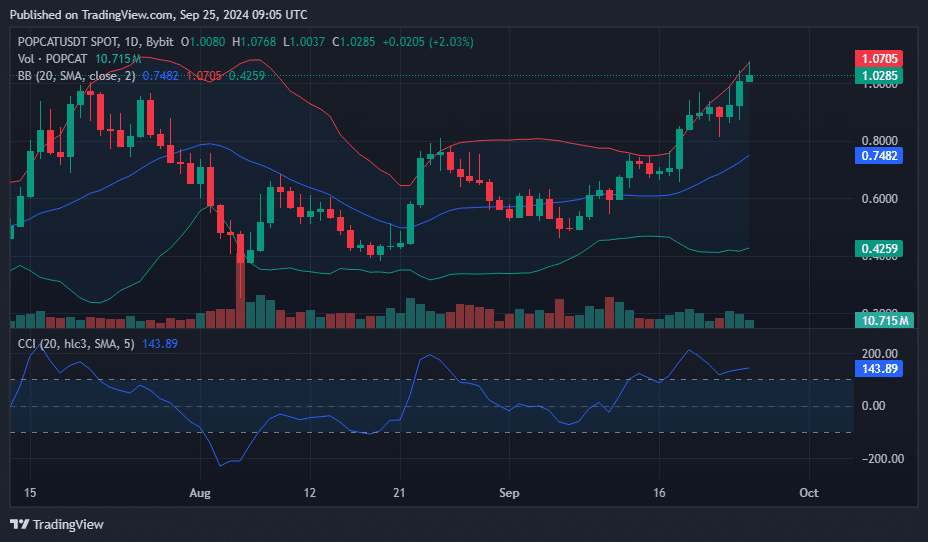 POPCAT hits all-time high as market cap surges past $1b - 2