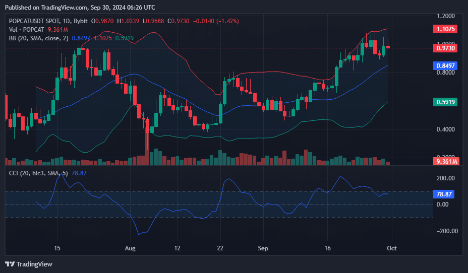POPCAT leads the market with 6% surge in 24 hours - 2
