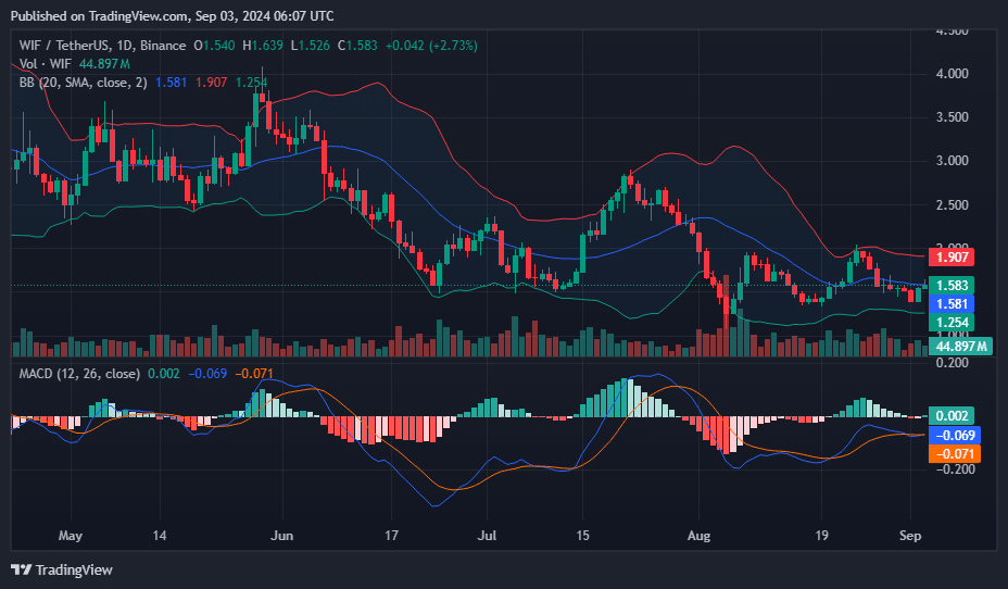 WIF leads meme coin rally with 12% surge - 4