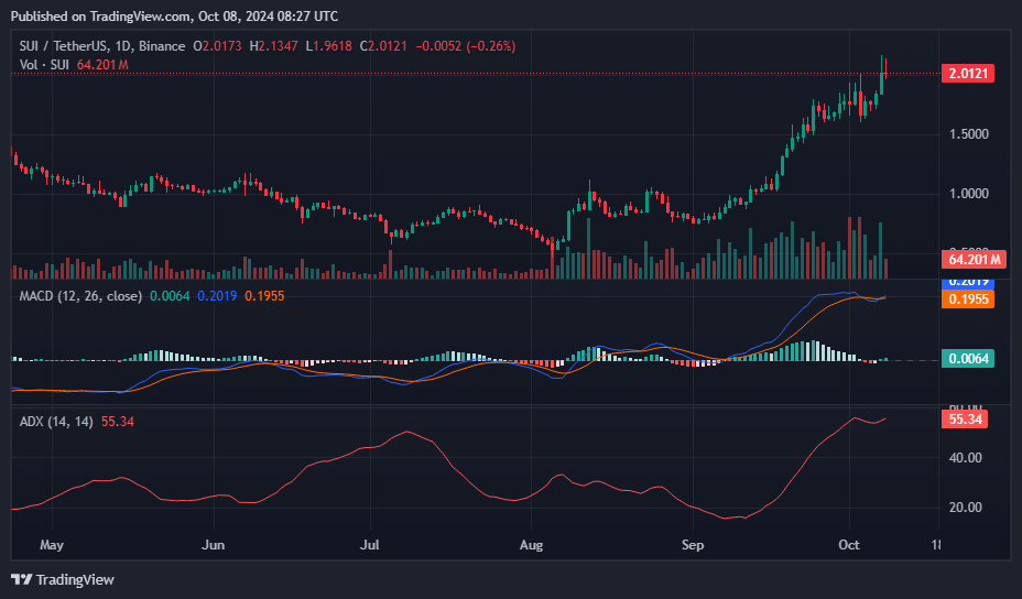 SUI leads top gainers as open interest hits all-time high - 4