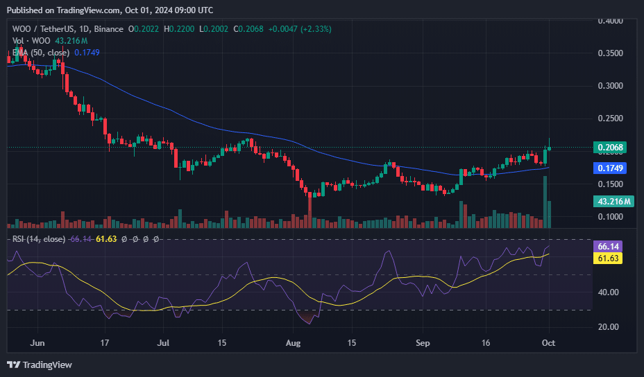 WOO surges 17% amid South Korean trading frenzy - 3