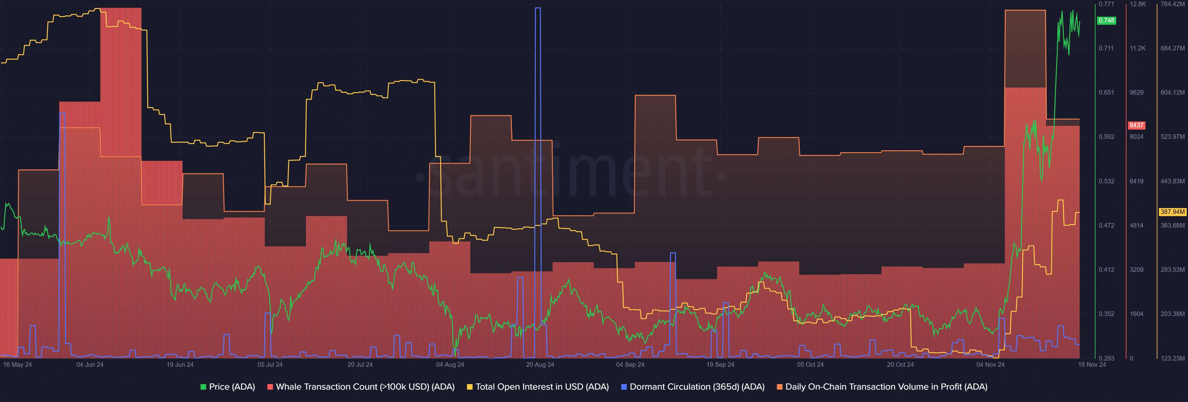 Cardano’s rally continues with 5-month high whale transactions - 2
