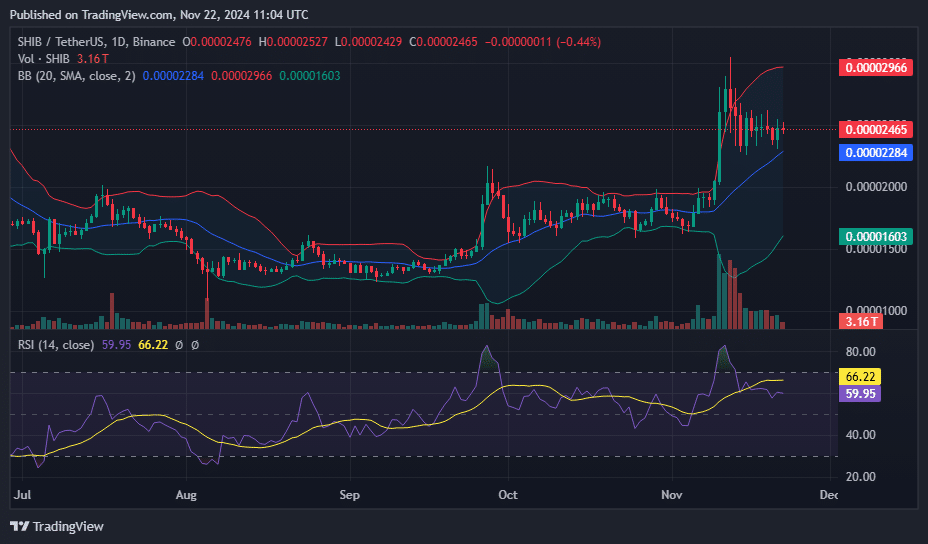 SHIB could rally over 50% if this happens: analyst - 4