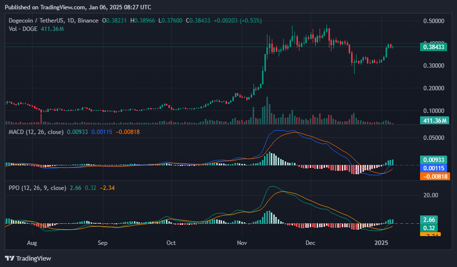 Dogecoin whale activity and bullish technicals point to potential upside - 8