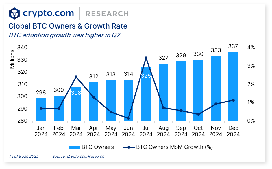 Global crypto adoption grew by 13% through 2024: report - 6