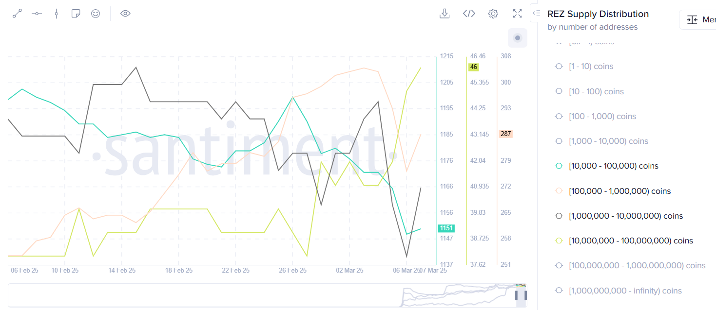 REZ crypto rallies 60% following Coinbase listing, what is REZ? - 3