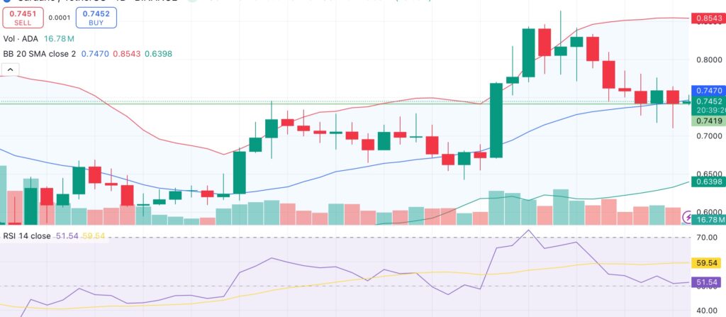 Cardano holds key support amid ADA misappropriation claims — will ADA crash when audit results are released? - 2
