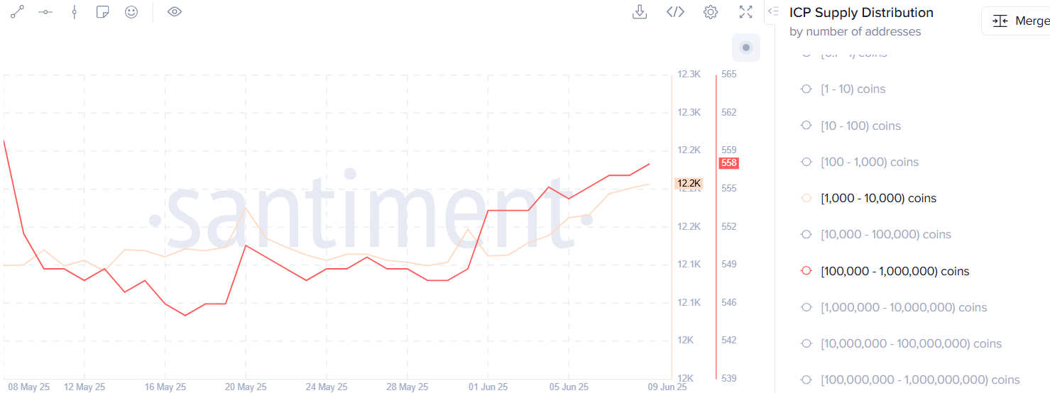 ICP defies crypto downturn with Caffeine-fueled rally and whale accumulation  - 4