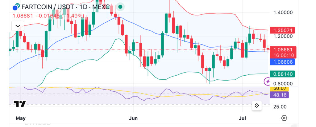 Memecoin watch: Fartcoin faces 8% pullback, Floki holds gains, SHIB lags in momentum - 4