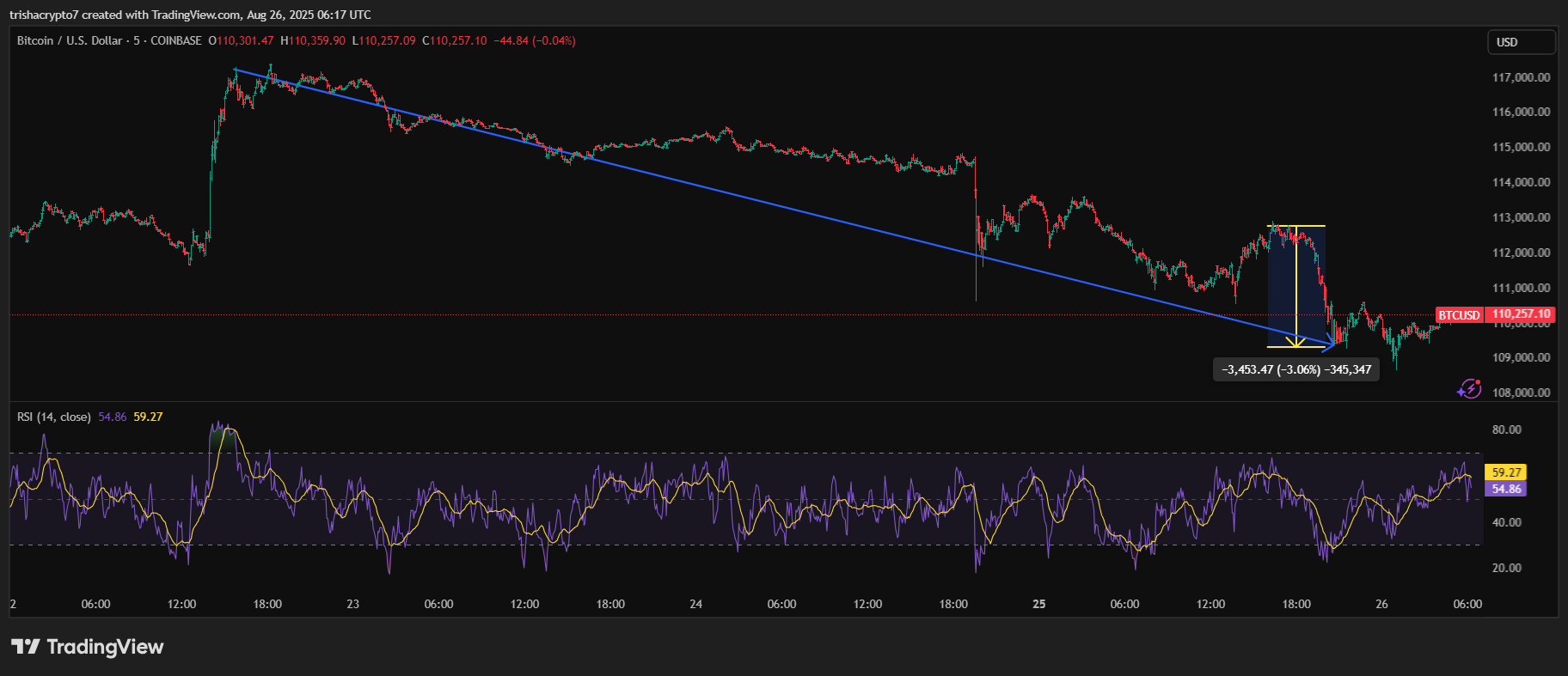 Price chart for Bitcoin in the past few hours following the gradual fall | Source: TradingView