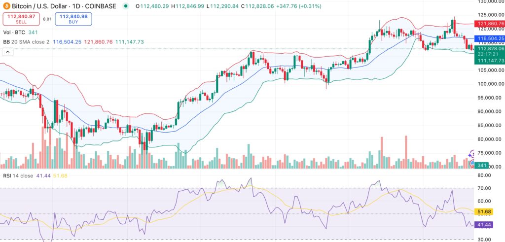 Bitcoin price dips to $112K as retail dumps but whales keep buying - 1
