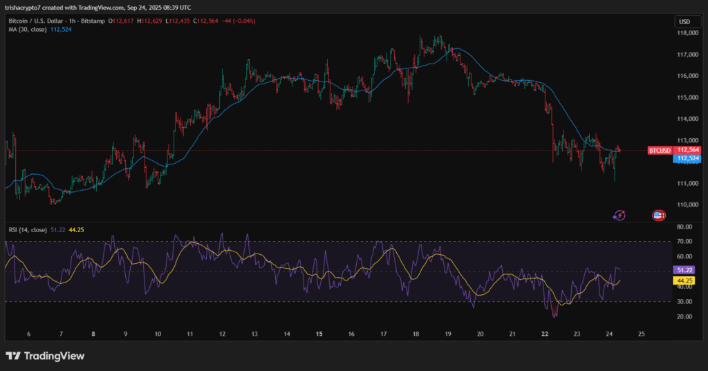 Bitcoin price chart depicting a slow rise that could lead to a rally | Source: TradingView