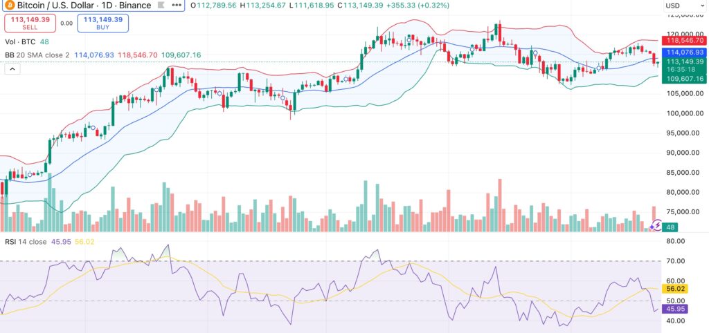 Bitcoin price outlook: On-chain signals favor upside as whales accumulate - 1