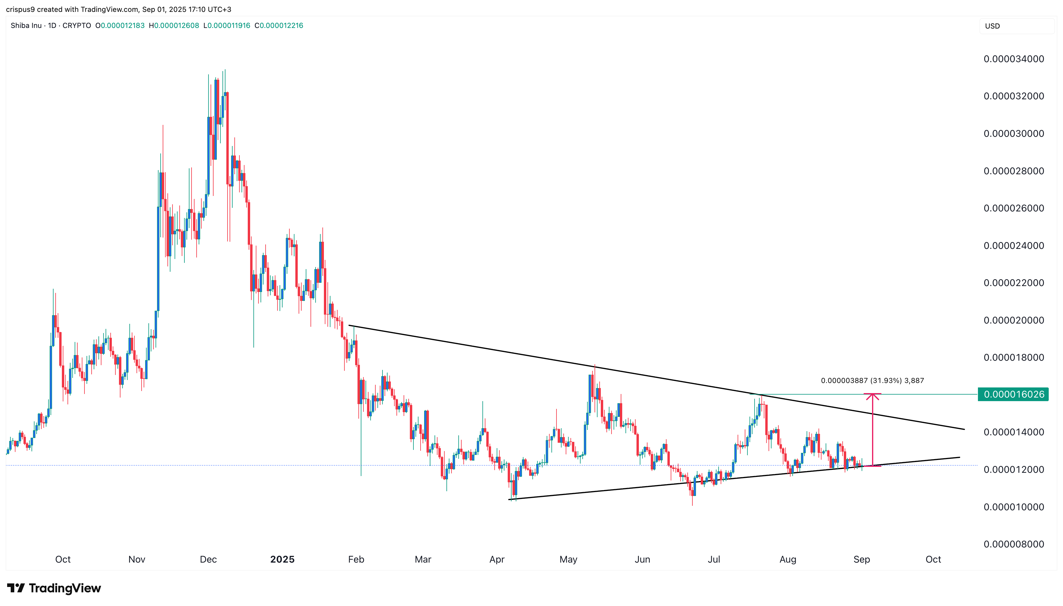 Is Shiba Inu coin price about to pop as smart money and whales buy?
