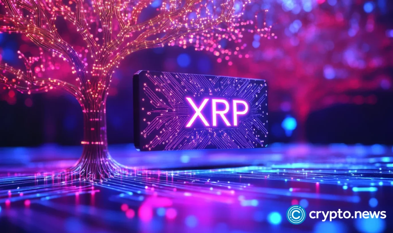 MSP Miner launches new cloud mining contract for XRP holders - 1