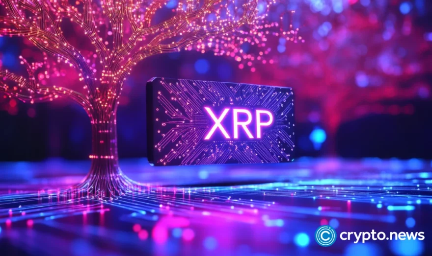 MSP Miner launches new cloud mining contract for XRP holders - 5