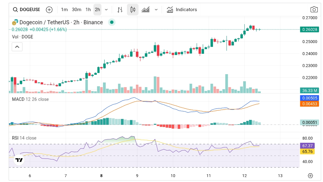 Dogecoin ETF stalls as price breaks key level of $0.24