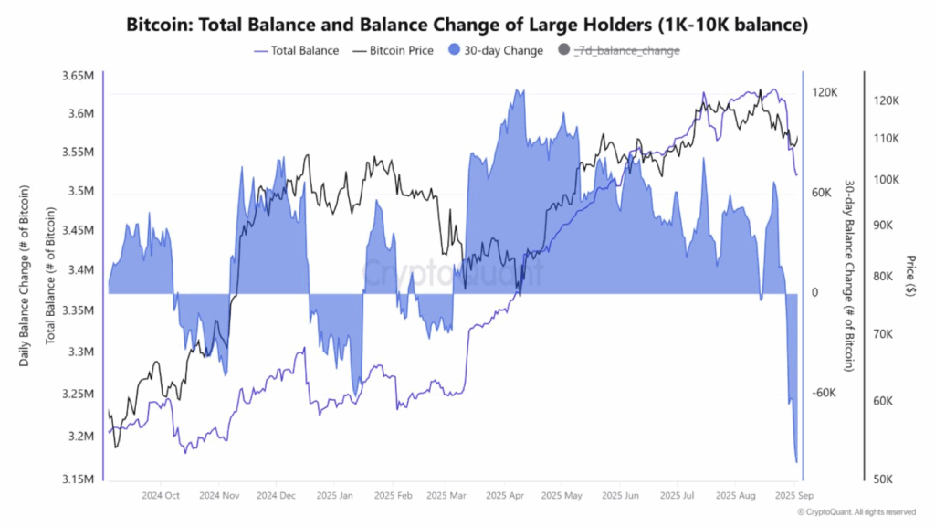 Image showing the strong decline in Bitcoin whale holdings fueling price drop.