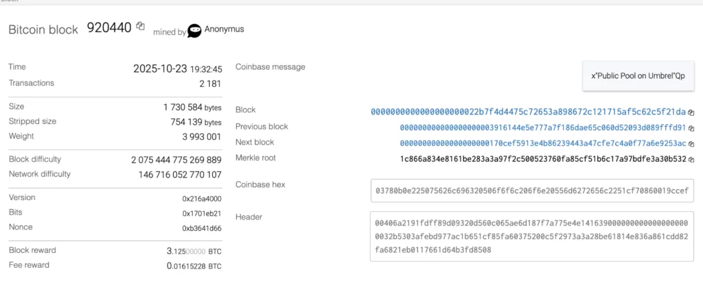 A Bitcoin miner beat one-in-ten-million odds — but is solo mining still worth it in 2025? - 4