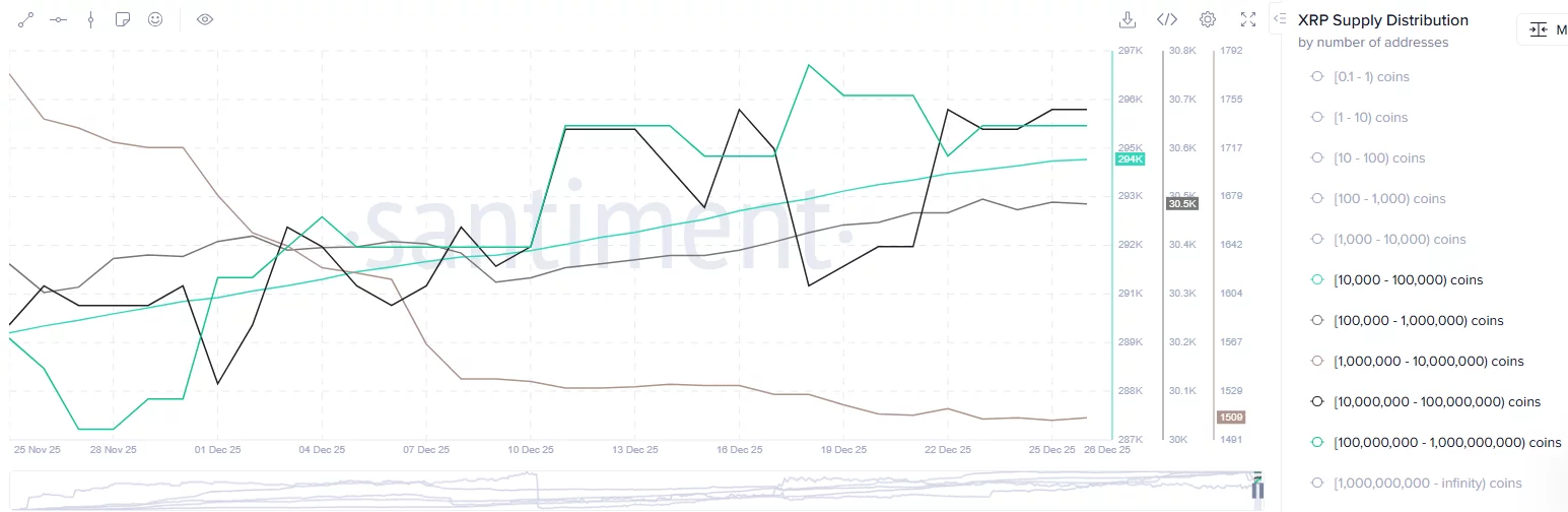 Number of whale wallets holdings 10k to 1 billion tokens have increased since December 22.