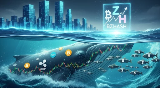 With whales accumulating XRP and Bitcoin surging 36%, why are more investors turning to BZHash for stable, reliable returns? - 1
