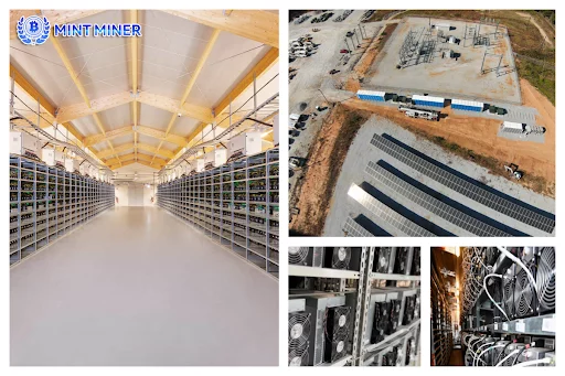 Canadians and Americans can earn cryptocurrency daily through Mint Miner cloud mining - 2