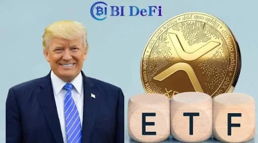 TRUMP XRP BIDEFI