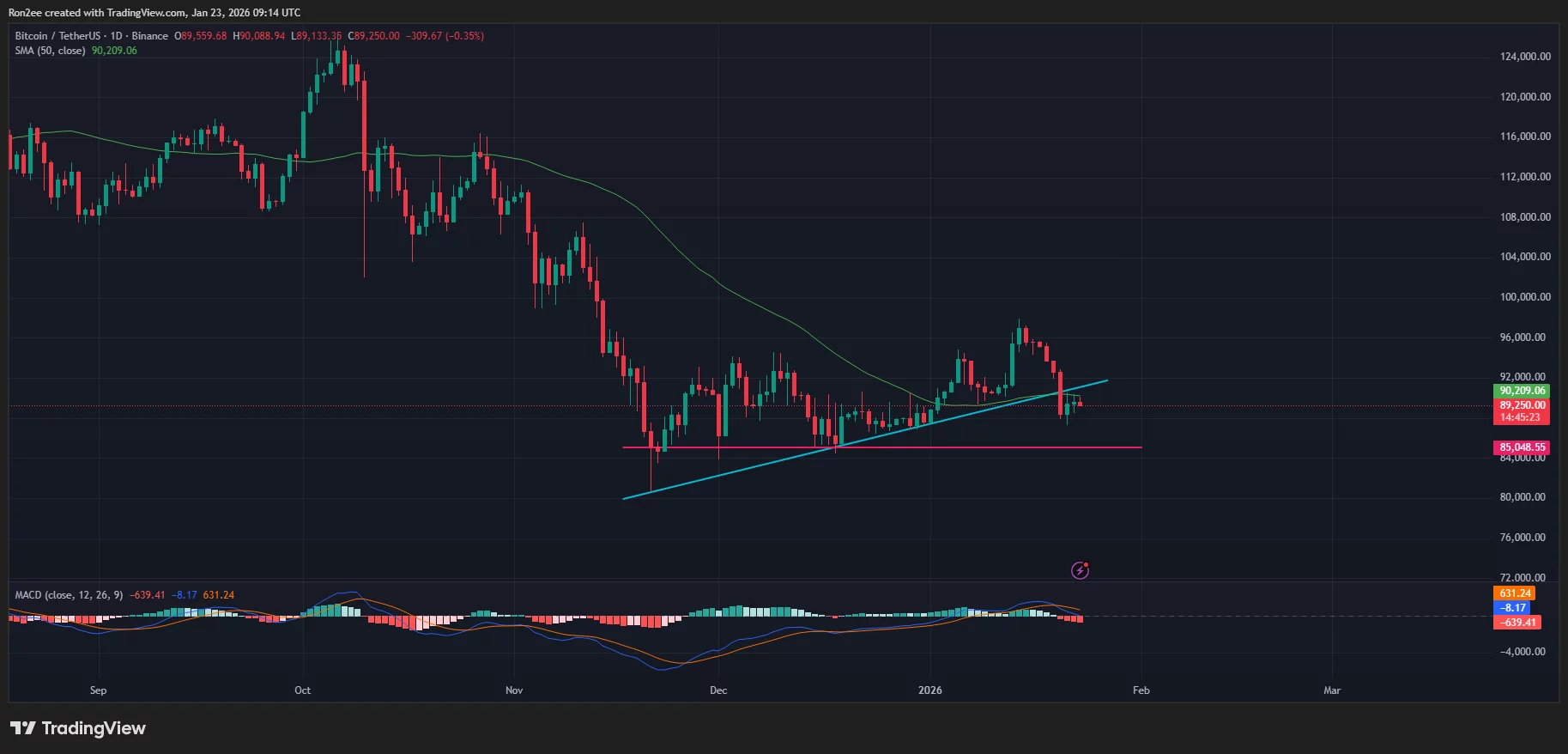 Bitcoin price has dropped below a key ascending trendline support line on the daily chart.