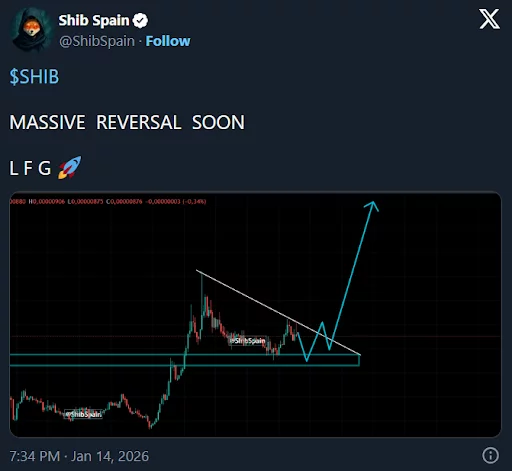 Can SHIB or DOGE still explode by 10x? Digitap steps in with a real-world use case for 1.4 billion people - 2