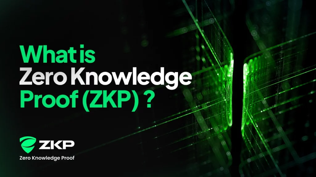Zero Knowledge Proof: A complete guide to the privacy-focused layer 1 blockchain - 2