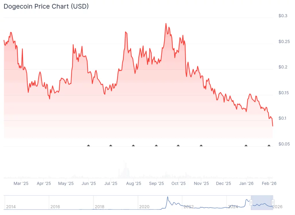 Dogecoin activity jumps, prices sink as meme coins test the trapdoor - 4