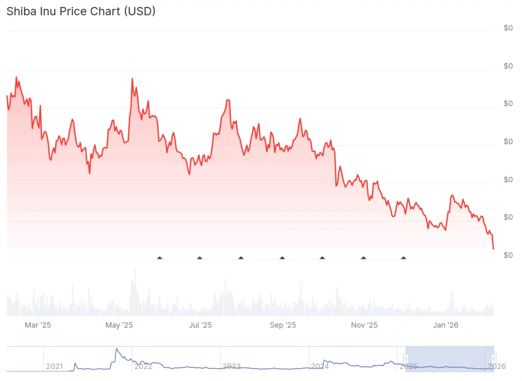 Dogecoin activity jumps, prices sink as meme coins test the trapdoor - 5