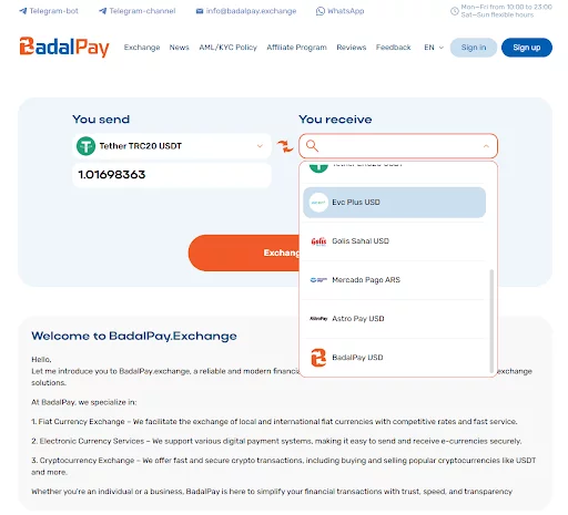BadalPay Exchange launches operations and joins major monitoring platforms - 1